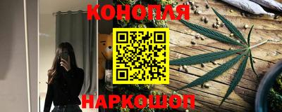 Альфа ПВП Камышлов