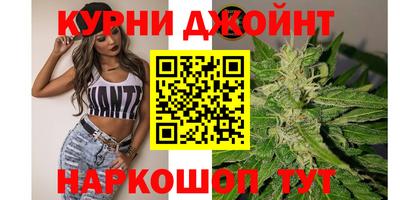 сатива Кингисепп