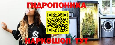 Альфа ПВП Камышлов