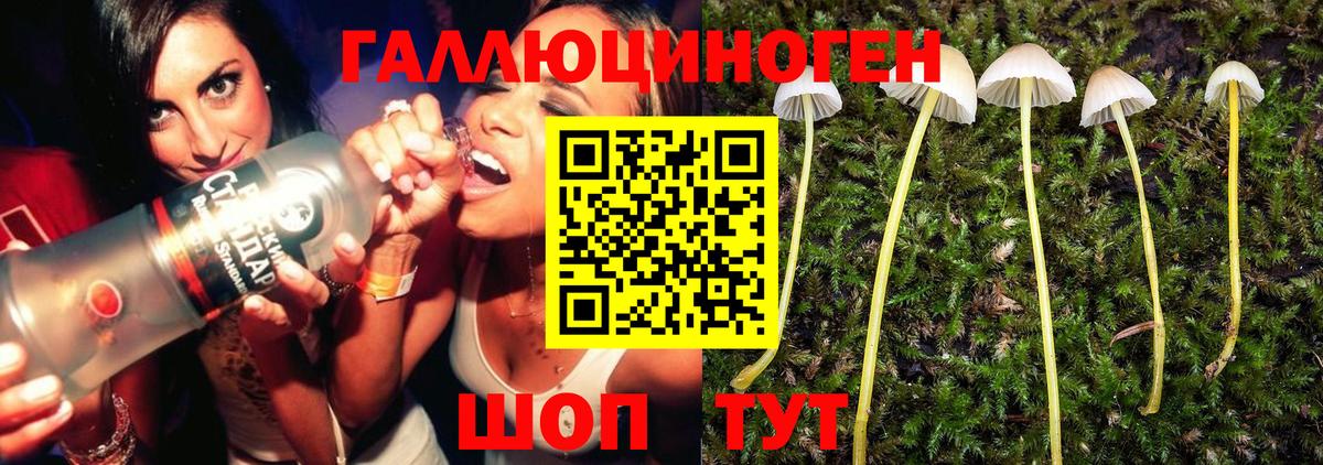 Галлюциногенные грибы Psilocybine cubensis  Вход с VPN  Галлюциногенные грибы мицелий  Красноуфимск 